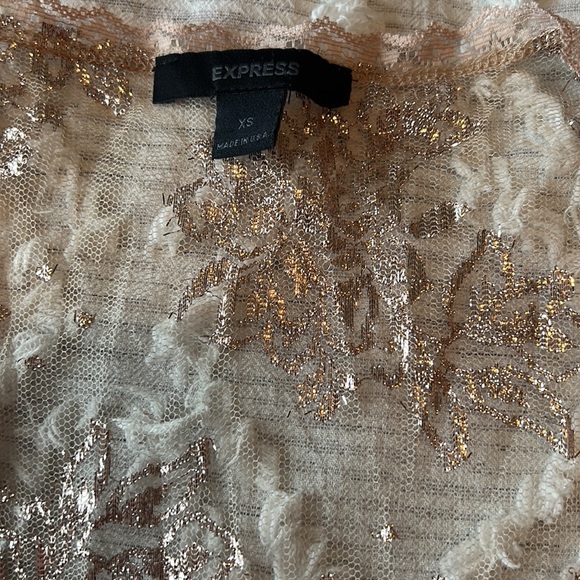 Delicate sheer top. Nice to wear over a camisole/tank. From express. - Picture 2 of 3